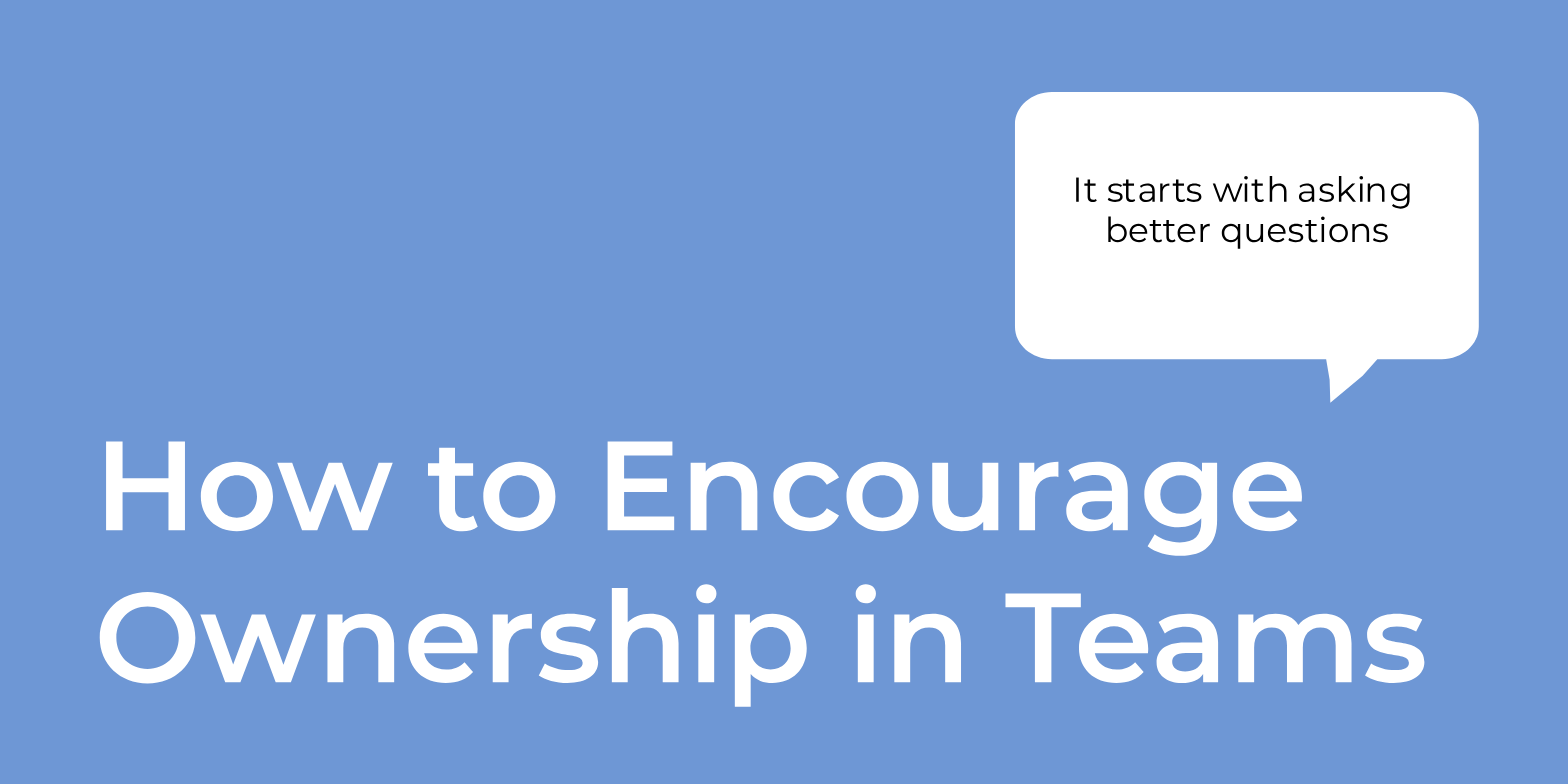 ownership in teams